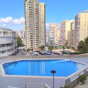 Apartment Halcon Levante